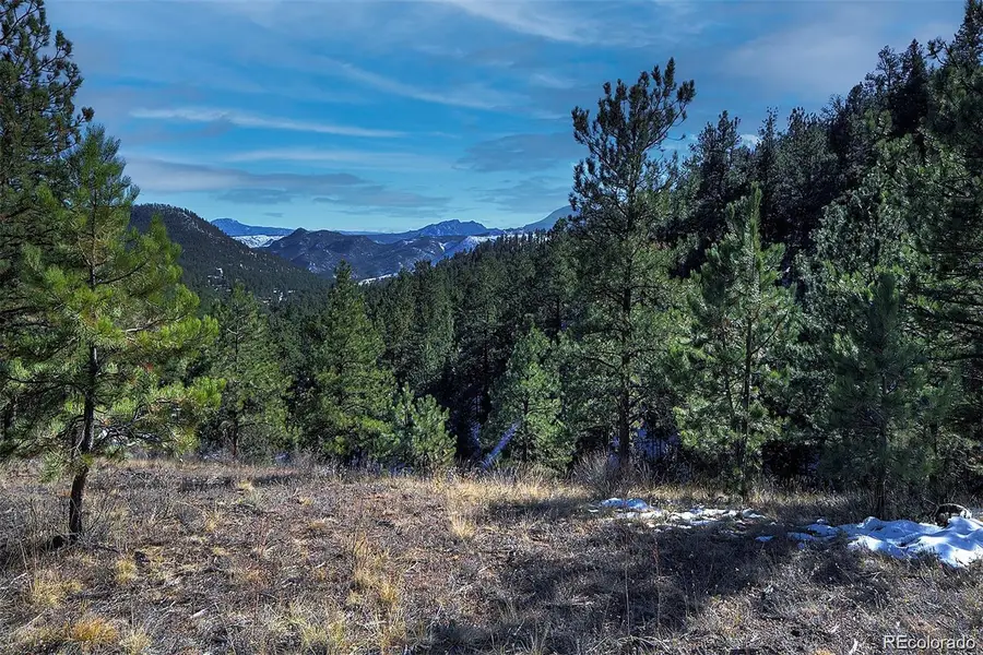 6 Turret Peak Trail, Pine, CO 80470 - #2