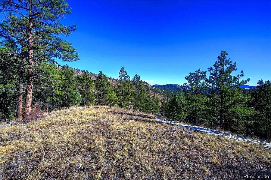 6 Turret Peak Trail, Pine, CO 80470 - #3