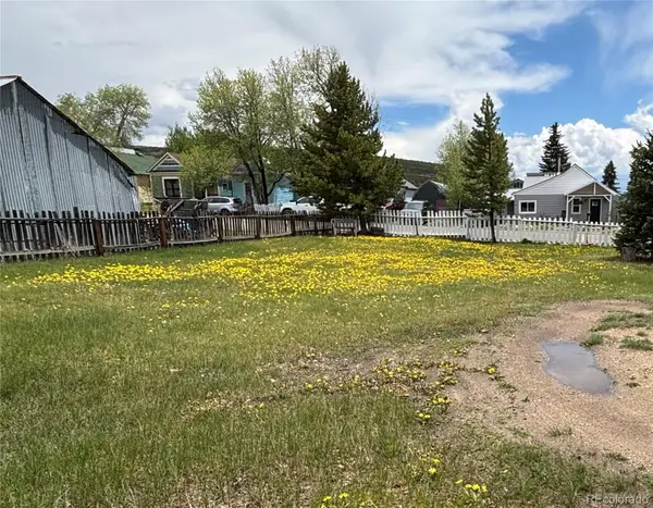402 E 10th Street, Leadville, CO 80461