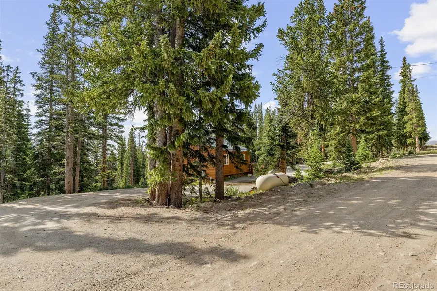238 Prunes Place, Fairplay, CO 80440 - #3