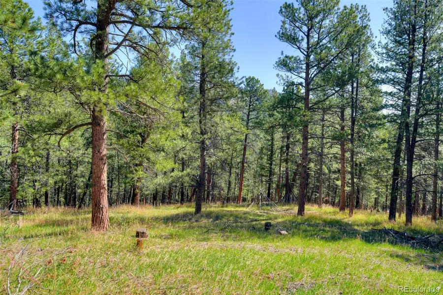 281 Kings, Evergreen, CO 80439 - #3