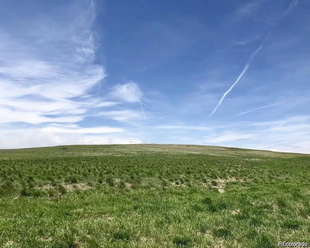 41382 Bijou Street, Agate, CO 80101 - #1