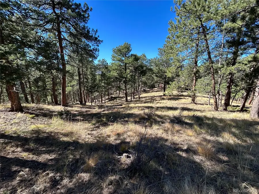 0 White House, Evergreen, CO 80439 - Image #2