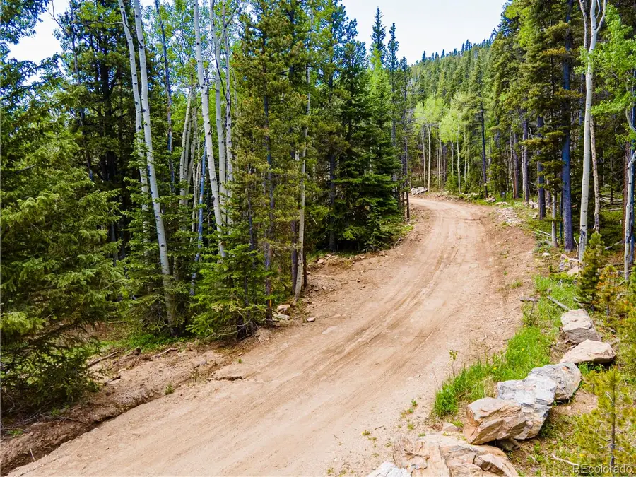 4 Roosevelt Ridge, Black Hawk, CO 80422 - #3