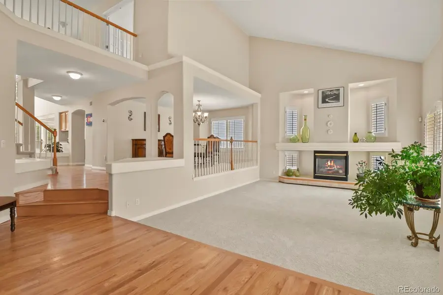 10081 Charissglen Lane, Highlands Ranch, CO 80126 - #3