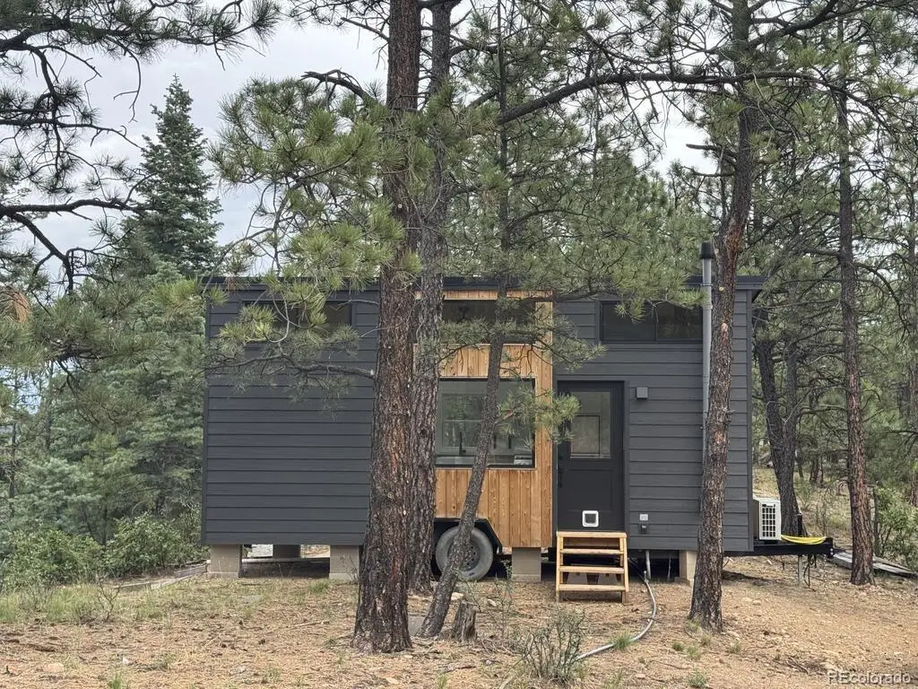 11491 Chinook Drive, Weston, CO 81091 - #1