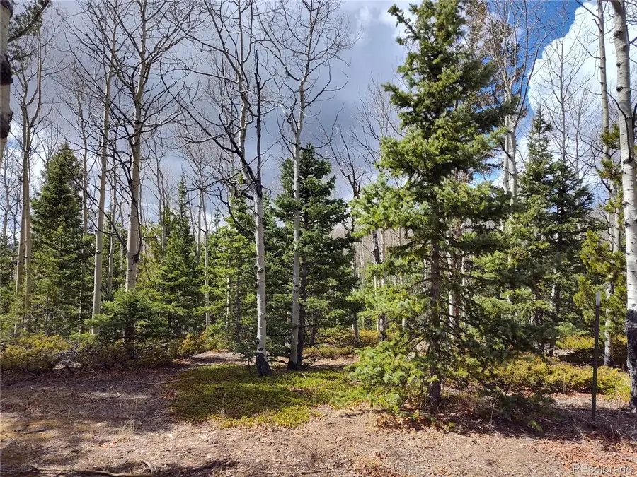 12201 S State Highway 67, Cripple Creek, CO 80813 - #2