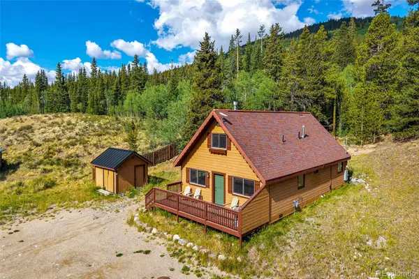 2399 Co Rd 6, Alma, CO 80420