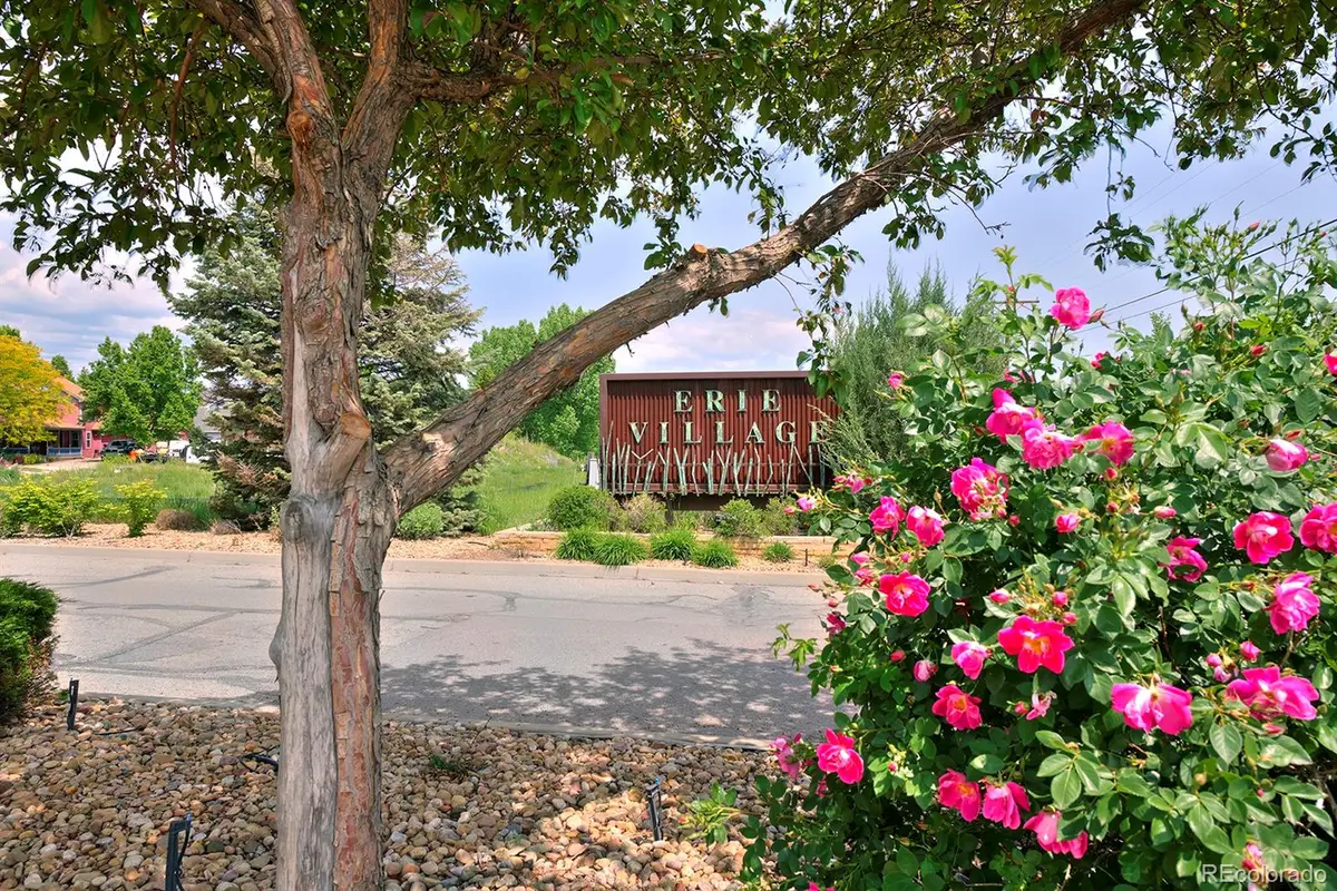 1341 Washburn Street, Erie, CO 80516 - #1