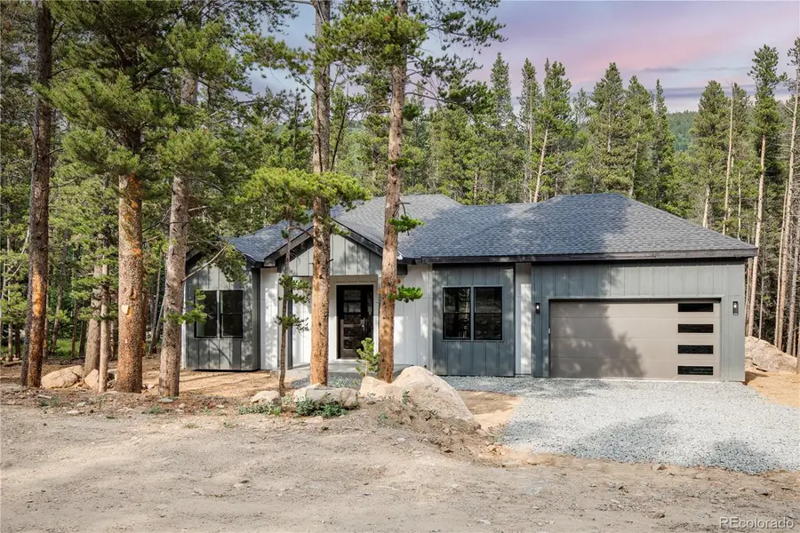 146 Elk Road, Idaho Springs, CO 80452 - #2