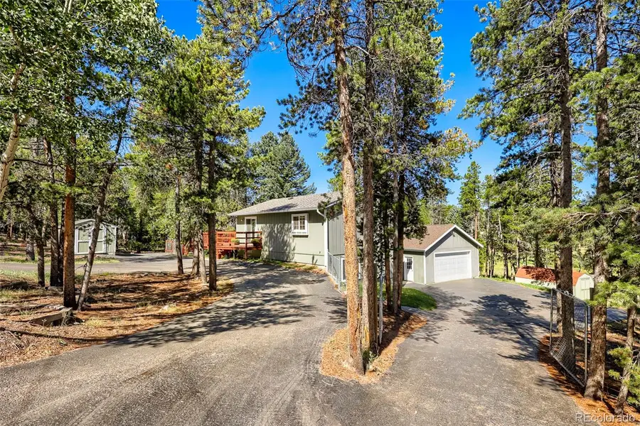 31645 Griffin Drive, Conifer, CO 80433 - #3
