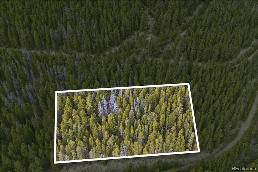 773 Harris Circle, Idaho Springs, CO 80452 - Image #2