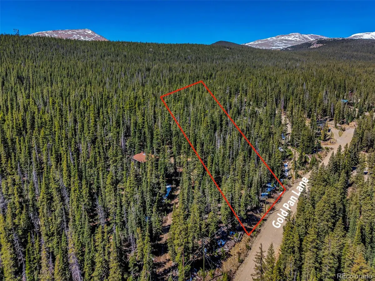 880 Gold Pan Lane, Fairplay, CO 80440 - #1