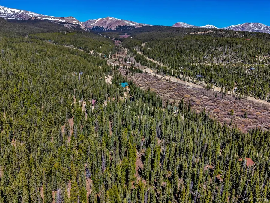 880 Gold Pan Lane, Fairplay, CO 80440 - #3