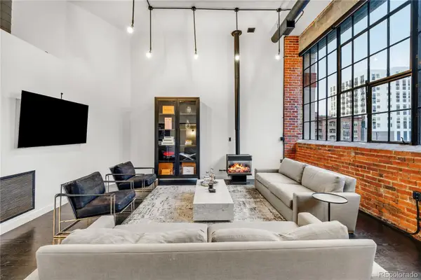 1090 Cherokee Street #303, Denver, CO 80204