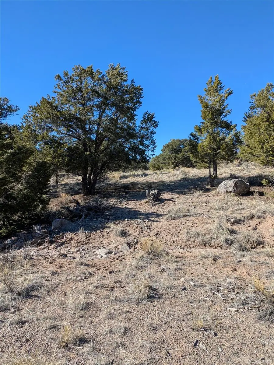 1393 Spanish Ruins, Crestone, CO 81131 - #2