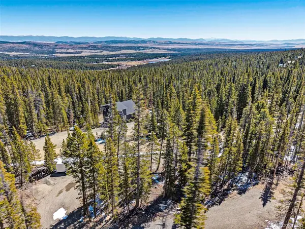 313 Porcupine Road, Fairplay, CO 80440