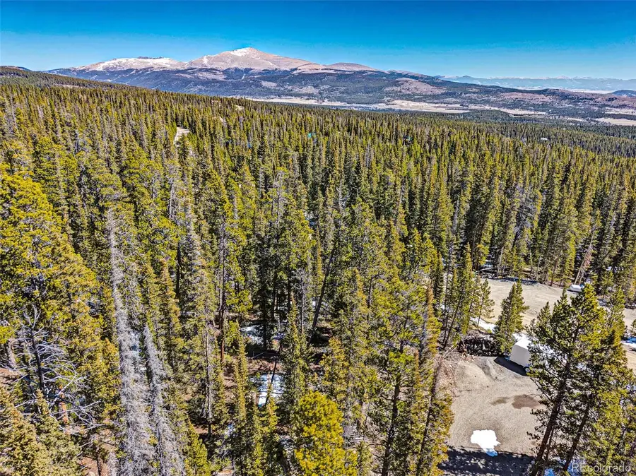 313 Porcupine Road, Fairplay, CO 80440 - #2