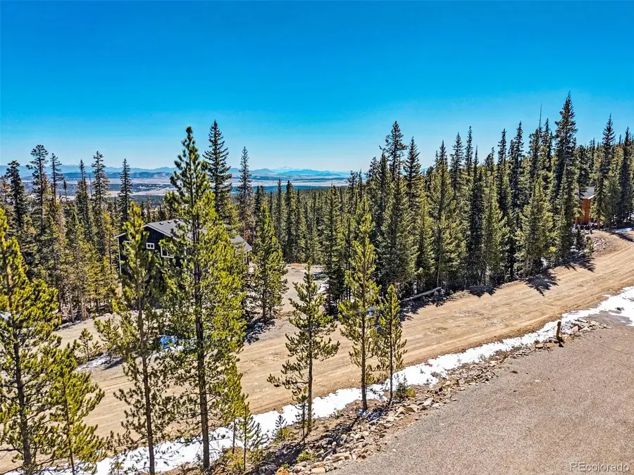 313 Porcupine Road, Fairplay, CO 80440 - #3
