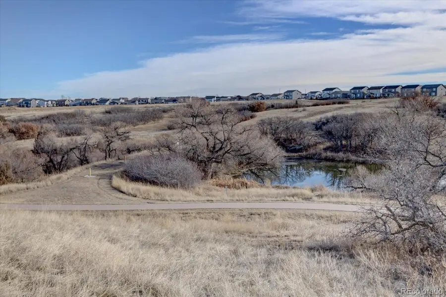 162 Tilbury Avenue, Castle Rock, CO 80104 - #3