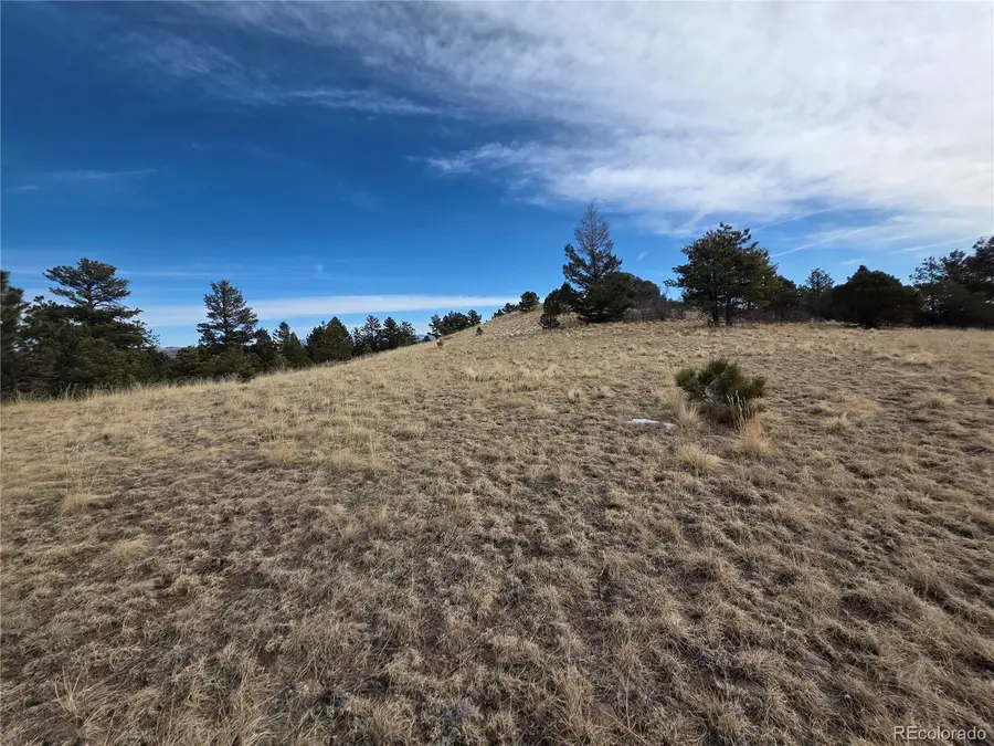 761 Basswood Lane, Canon City, CO 81212 - #3