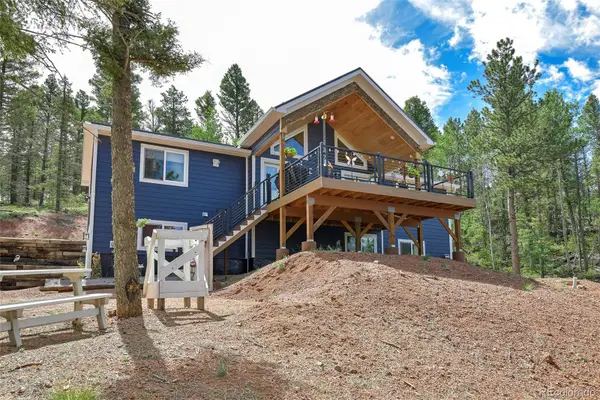 100 Wildcat Creek Drive, Florissant, CO 80816