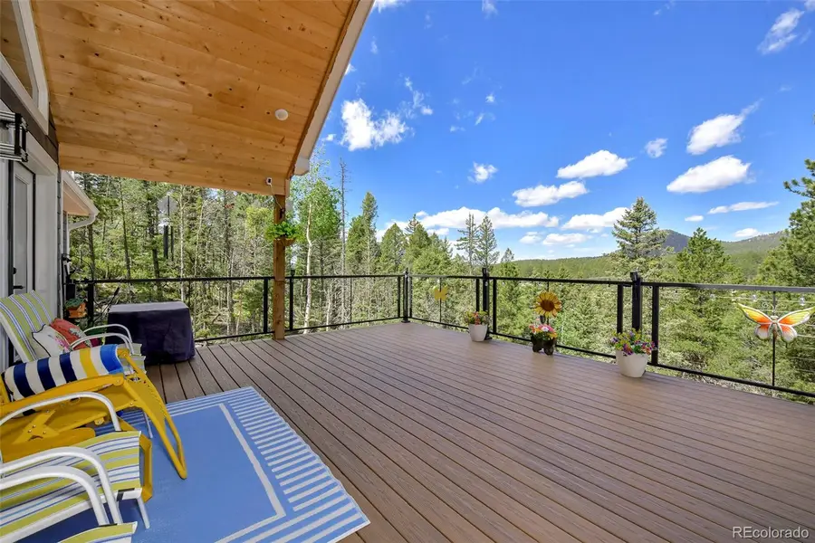100 Wildcat Creek Drive, Florissant, CO 80816 - #2
