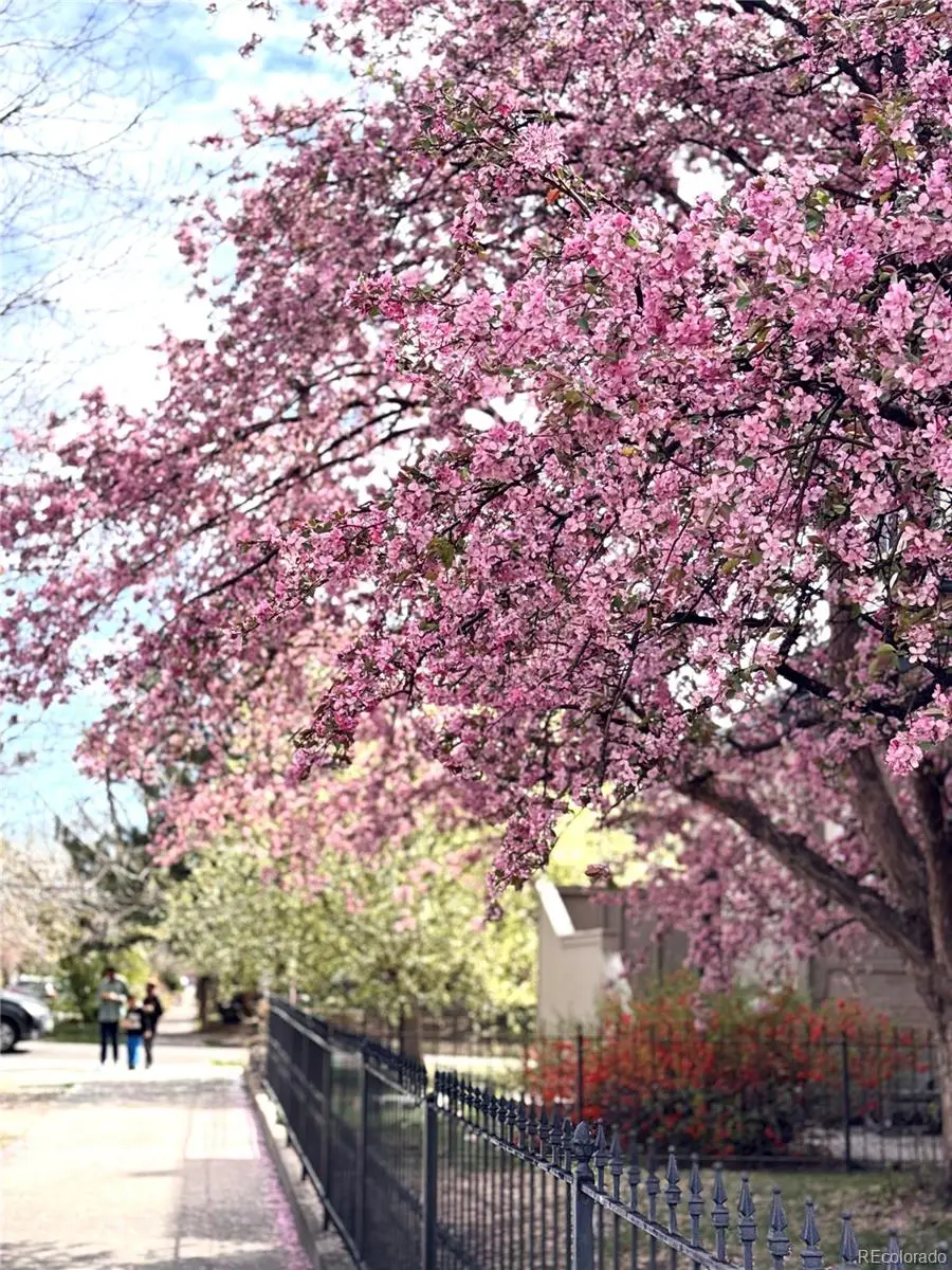 108 W Byers Place #202, Denver, CO 80223 - #2