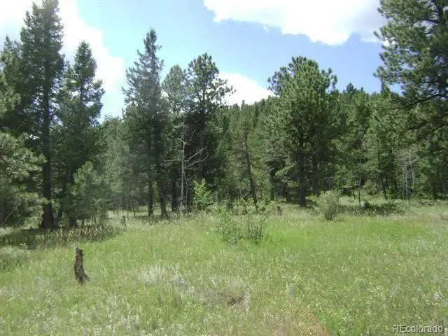 1504 County Road 43, Bailey, CO 80421 - #1