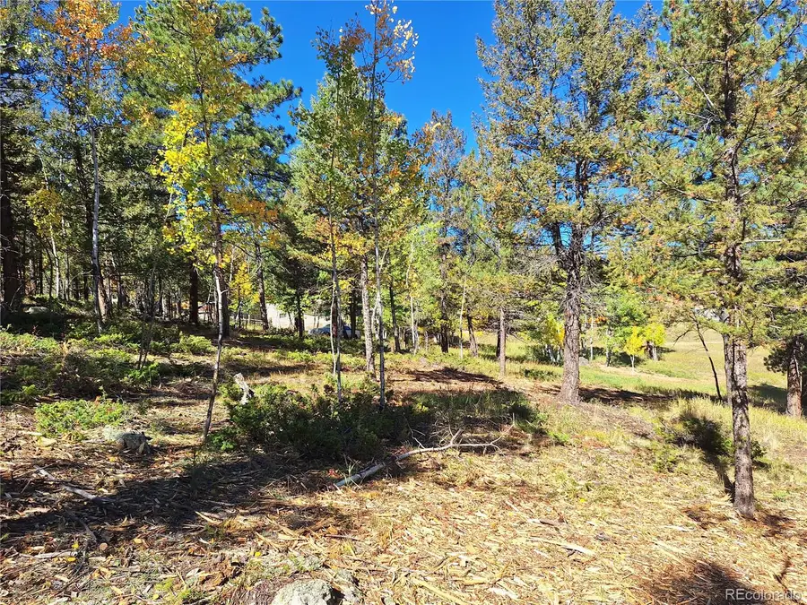 1504 County Road 43, Bailey, CO 80421 - #2