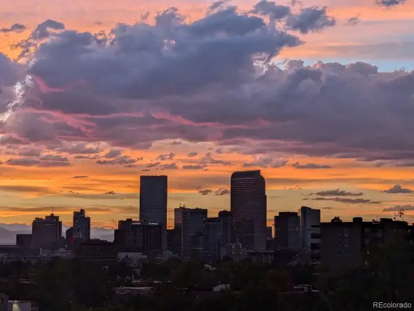 909 N Lafayette Street #503, Denver, CO 80218