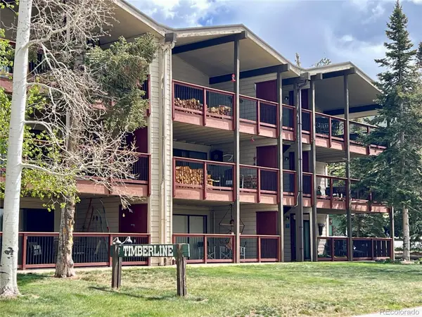 244 Lodgepole Street #15, Dillon, CO 80435