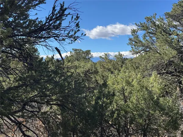 TR-143 18th Trail, Cotopaxi, CO 81223
