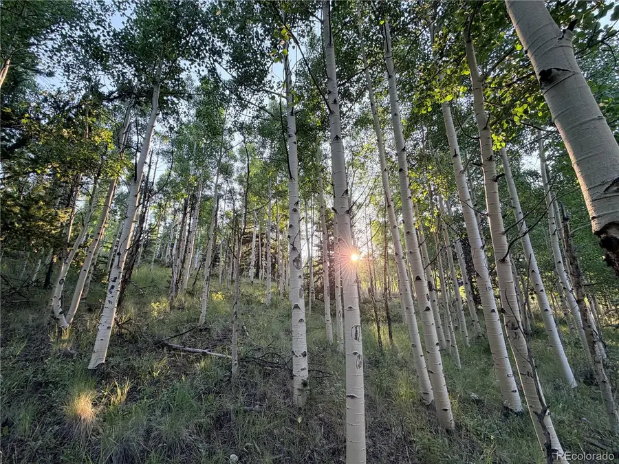 3 & 4 Cooper Jury Ln Tract 3 & 4, Antonito, CO 81120 - #2
