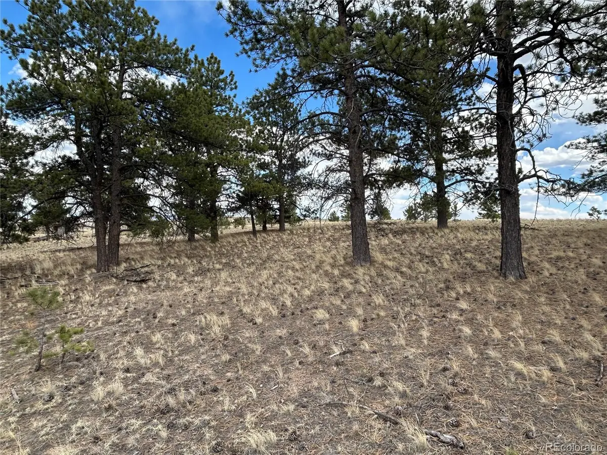 565 Brahma Circle, Hartsel, CO 80449 - #1