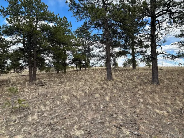 565 Brahma Circle, Hartsel, CO 80449