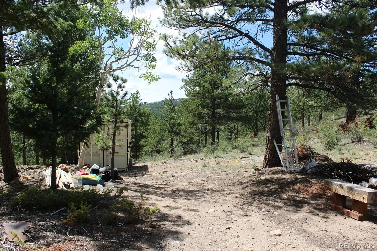 01 Golconda Mine Road, Central City, CO 80427 - #1