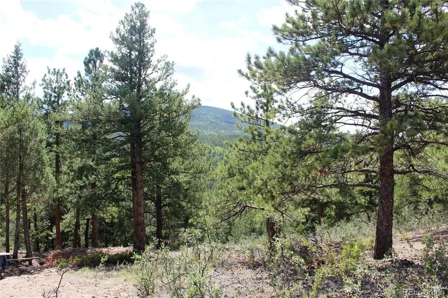 01 Golconda Mine Road, Central City, CO 80427 - #2