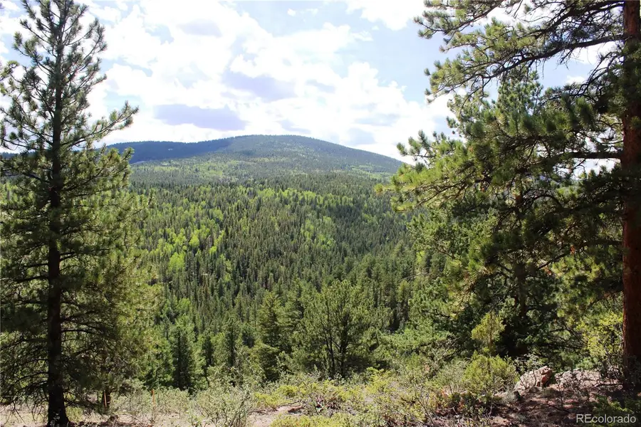 01 Golconda Mine Road, Central City, CO 80427 - #3
