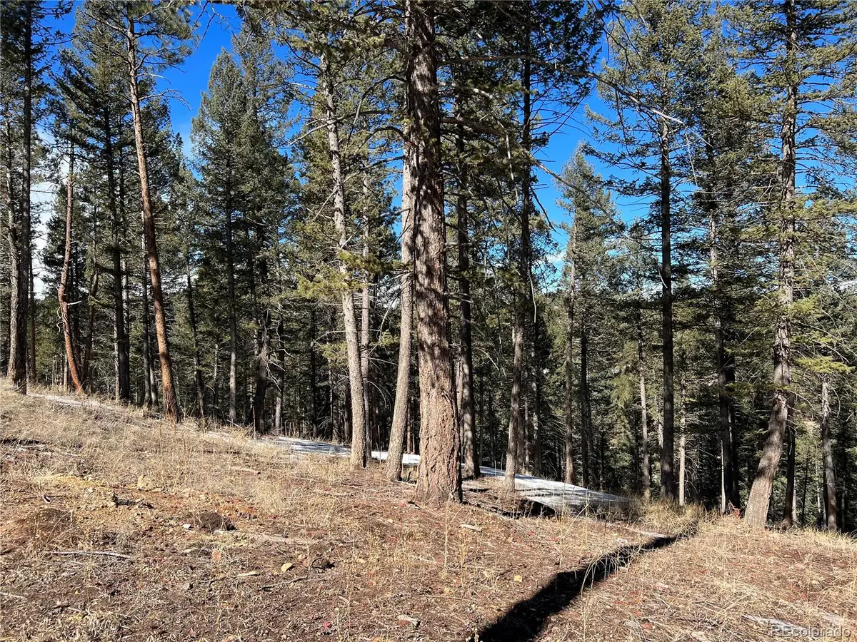 7871 Gold Rush, Morrison, CO 80465 - #1