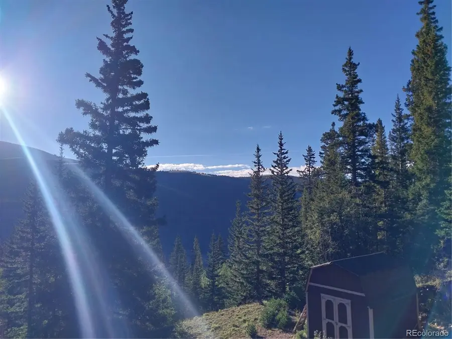 1062 Roberts Road, Alma, CO 80420 - #3