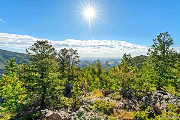 Lot F Gray Wolf Trail, Golden, CO 80403