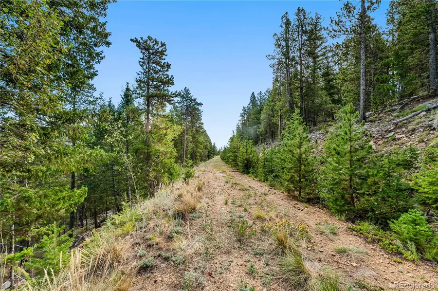 Lot F Gray Wolf Trail, Golden, CO 80403 - #3