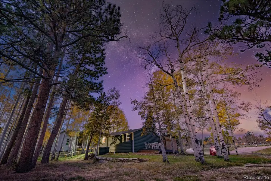 220 Burland Drive, Bailey, CO 80421 - #2