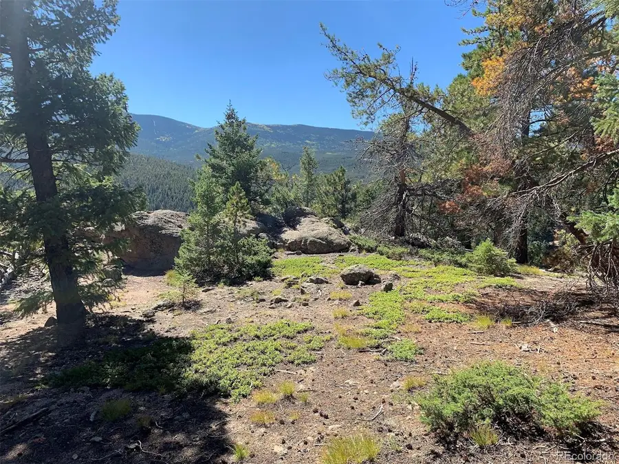 32764 Lodgepole Circle, Evergreen, CO 80439 - Image #3