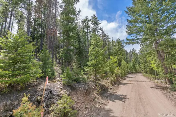 Lost Cabin Trail, Evergreen, CO 80439