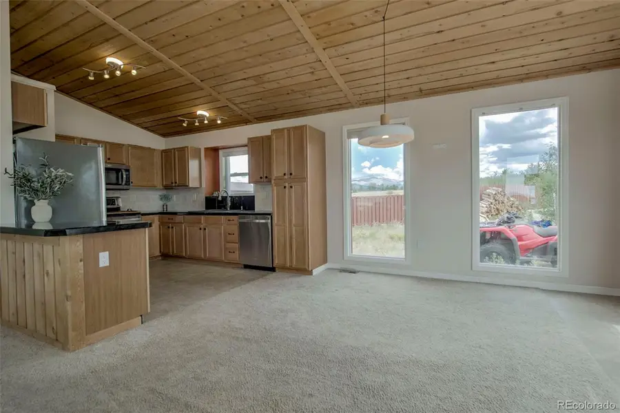 119 Bristlecone Lane, Fairplay, CO 80440 - #2