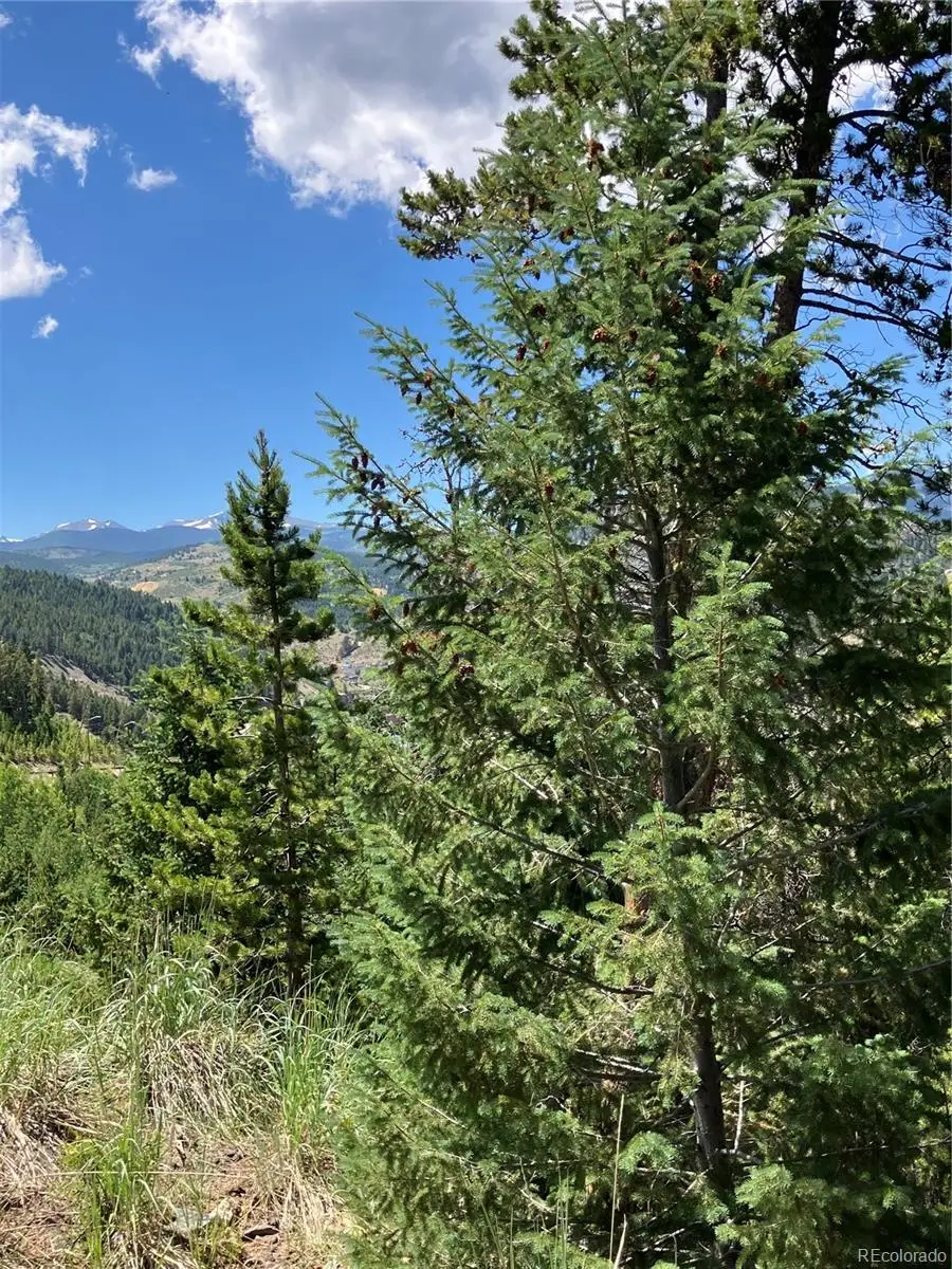 3 Miners Road, Black Hawk, CO 80422 - #2