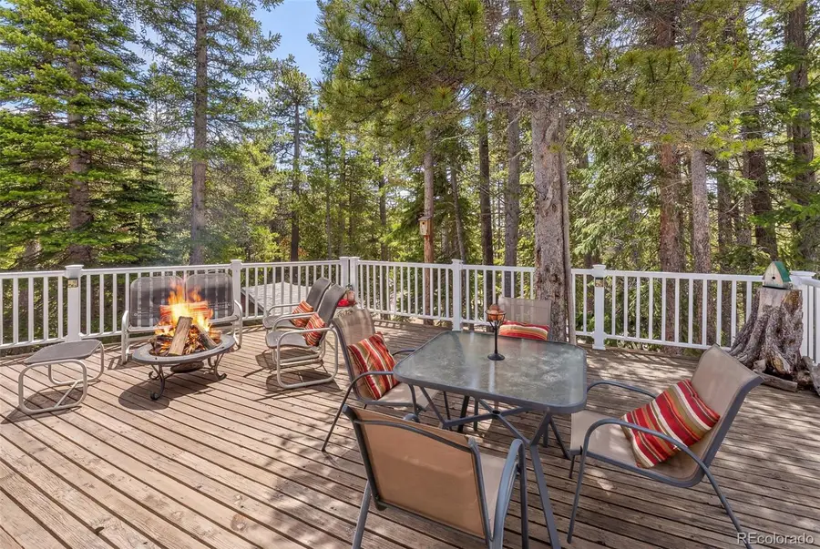 218 Brook Drive, Idaho Springs, CO 80452 - #3
