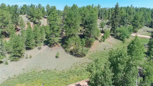 835 Spring Valley Lane, Florissant, CO 80816